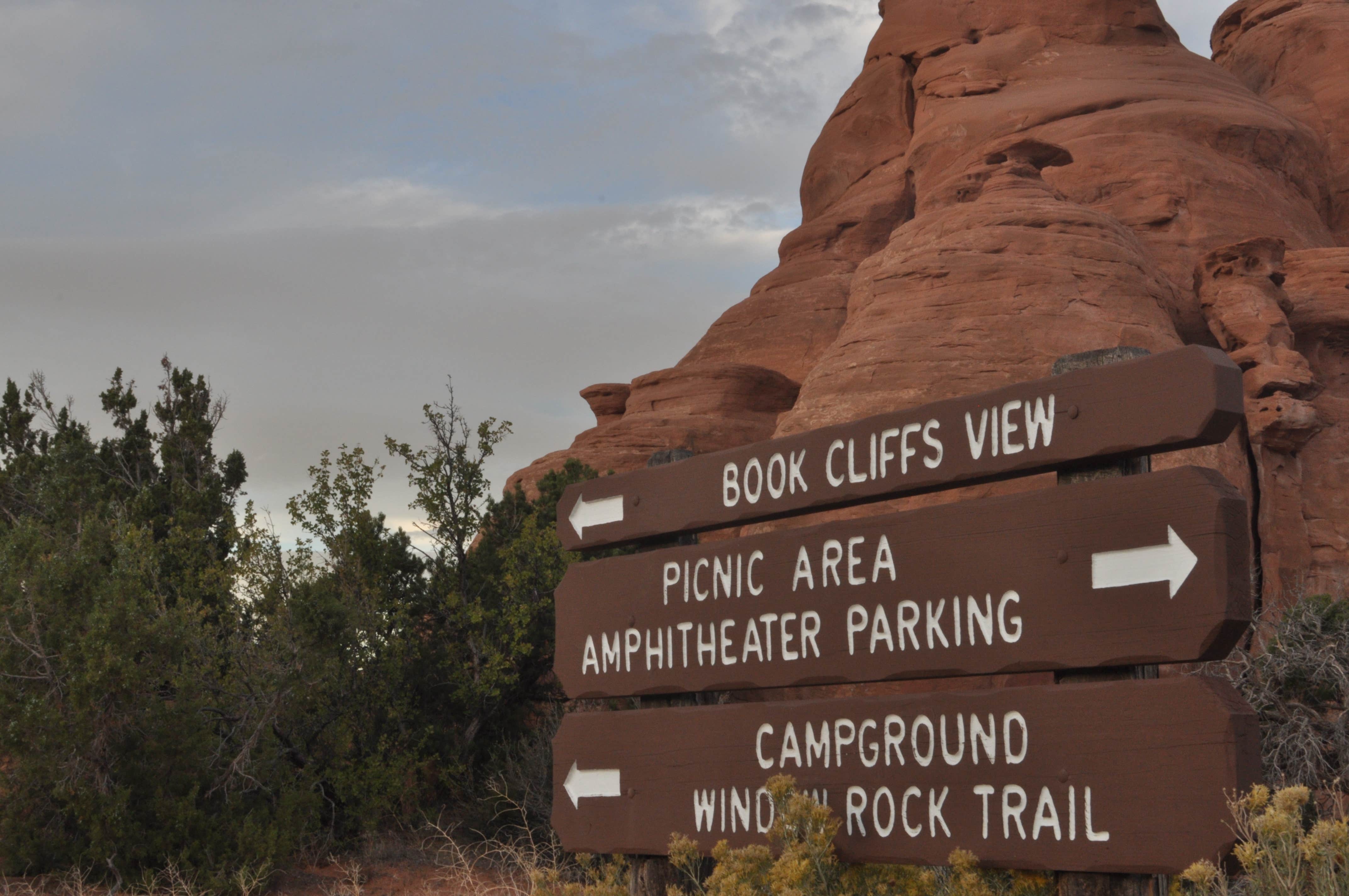 Camper submitted image from Saddlehorn Campground — Colorado National Monument - 5