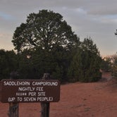 Review photo of Saddlehorn Campground - Colorado National Monument by Jason F., October 14, 2020