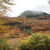 Review photo of Dry River — Crawford Notch State Park by Ashley J., October 14, 2020