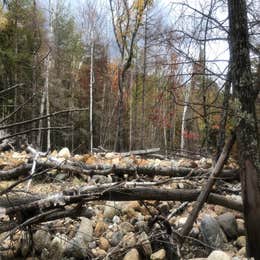 Dry River — Crawford Notch State Park