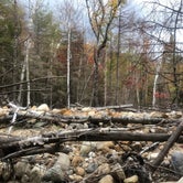 Review photo of Dry River — Crawford Notch State Park by Ashley J., October 14, 2020