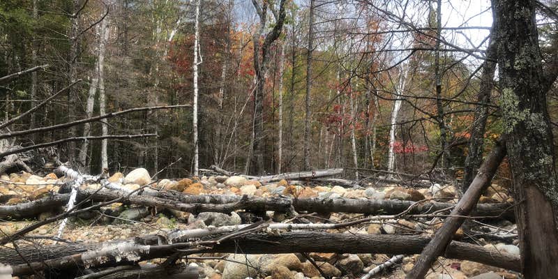 Camper submitted image from Dry River Campground — Crawford Notch State Park