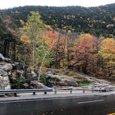 Review photo of Dry River — Crawford Notch State Park by Ashley J., October 14, 2020