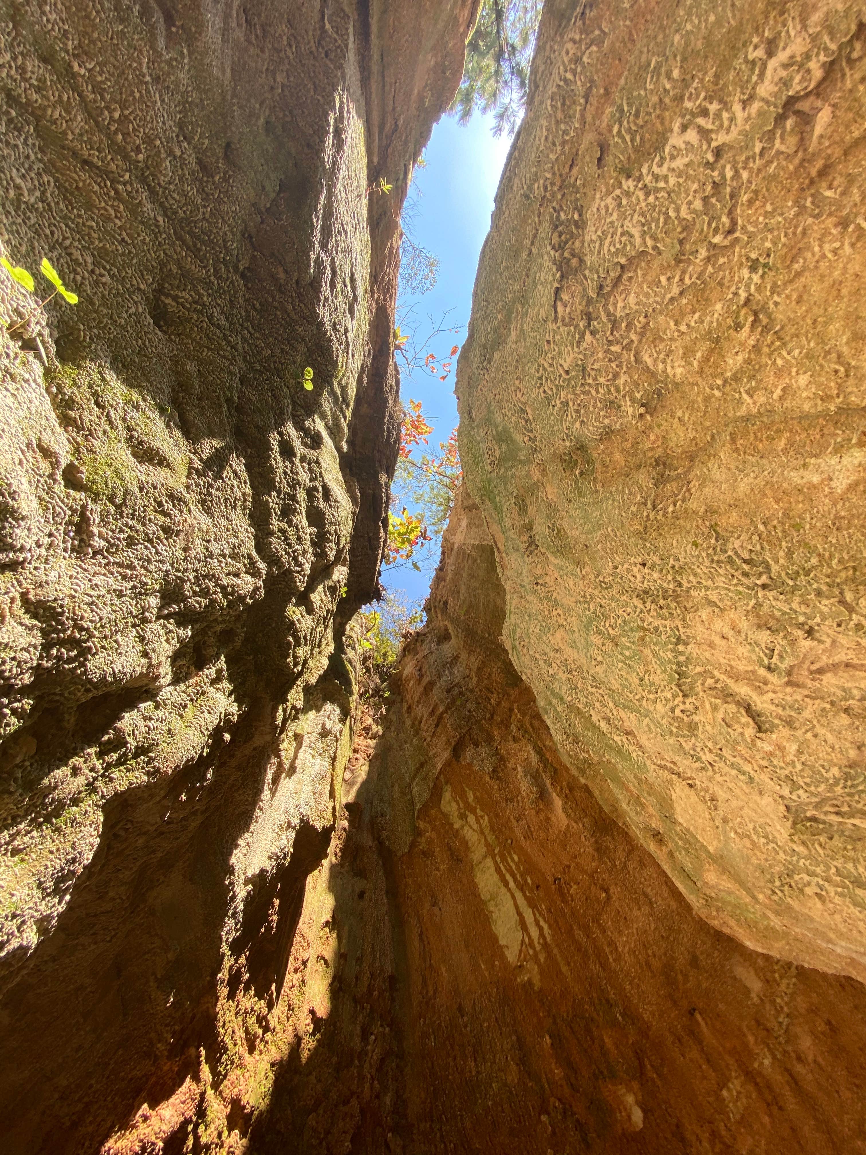 Camper-submitted photo at Providence Canyon State Park Campground near Columbus, GA