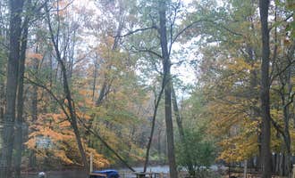 Camping near Susquehanna Trail Campground: Unadilla KOA, Trout Creek, New York