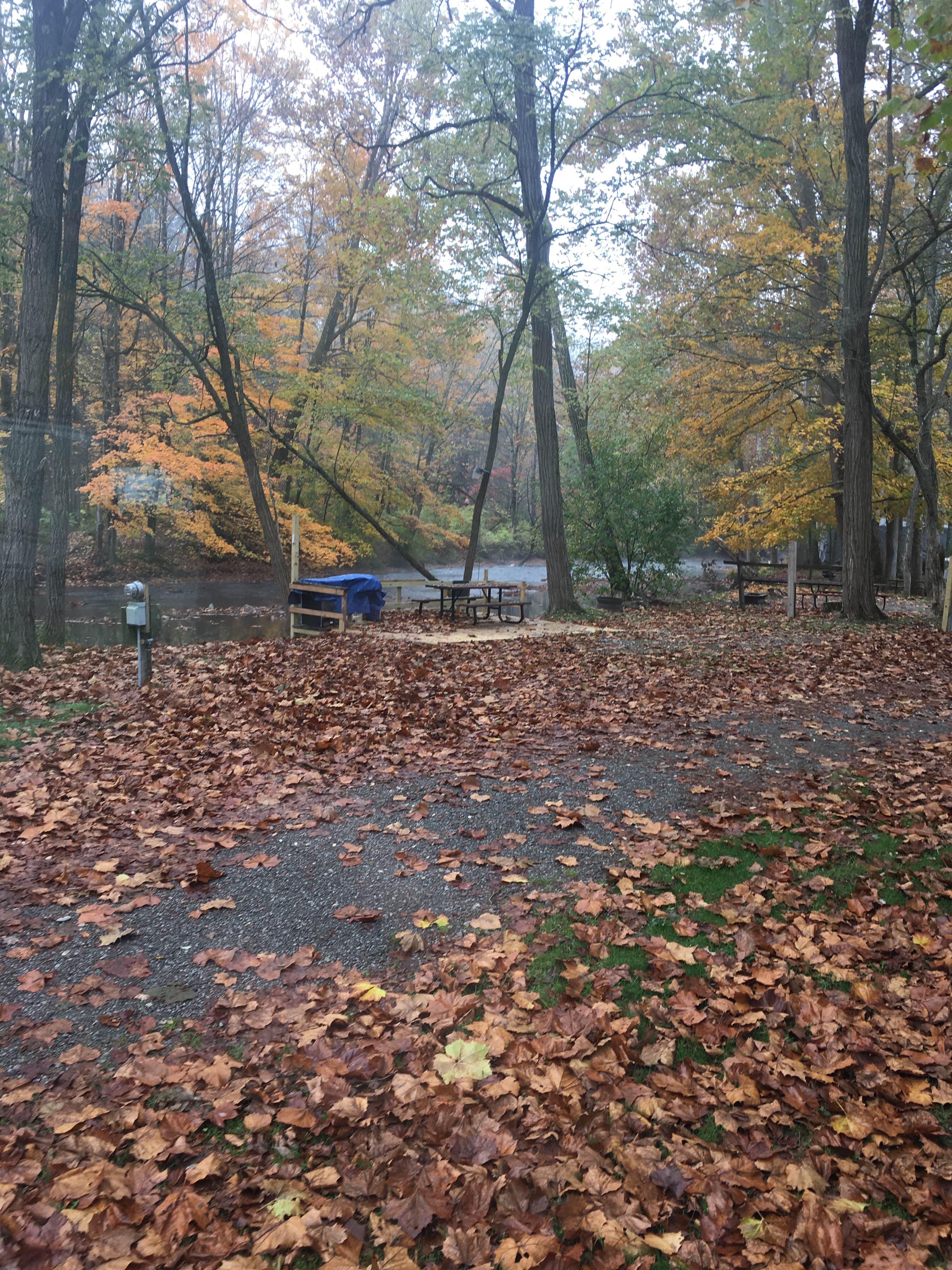 Camper submitted image from Unadilla KOA - 2