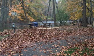 Camping near East Sidney Dam Rec Area: Unadilla KOA, Trout Creek, New York