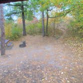 Review photo of D.H. Day Campground — Sleeping Bear Dunes National Lakeshore by Kathleen D., October 14, 2020