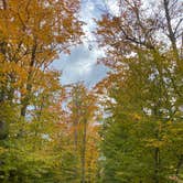 Review photo of D.H. Day Campground — Sleeping Bear Dunes National Lakeshore by Kathleen D., October 14, 2020