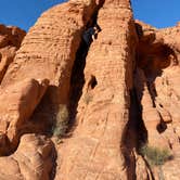 Review photo of Atlatl Rock Campground — Valley of Fire State Park by Kathleen D., October 14, 2020