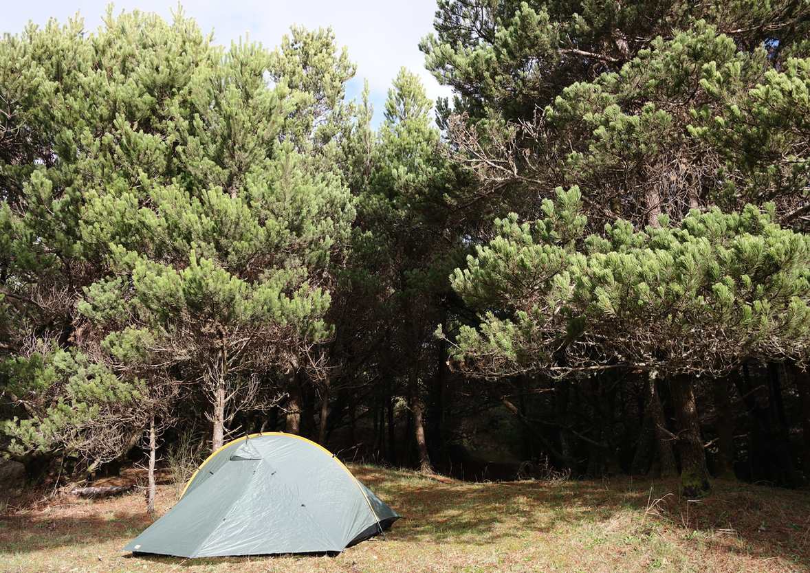 Camper submitted image from Westport Recreation Park - 5