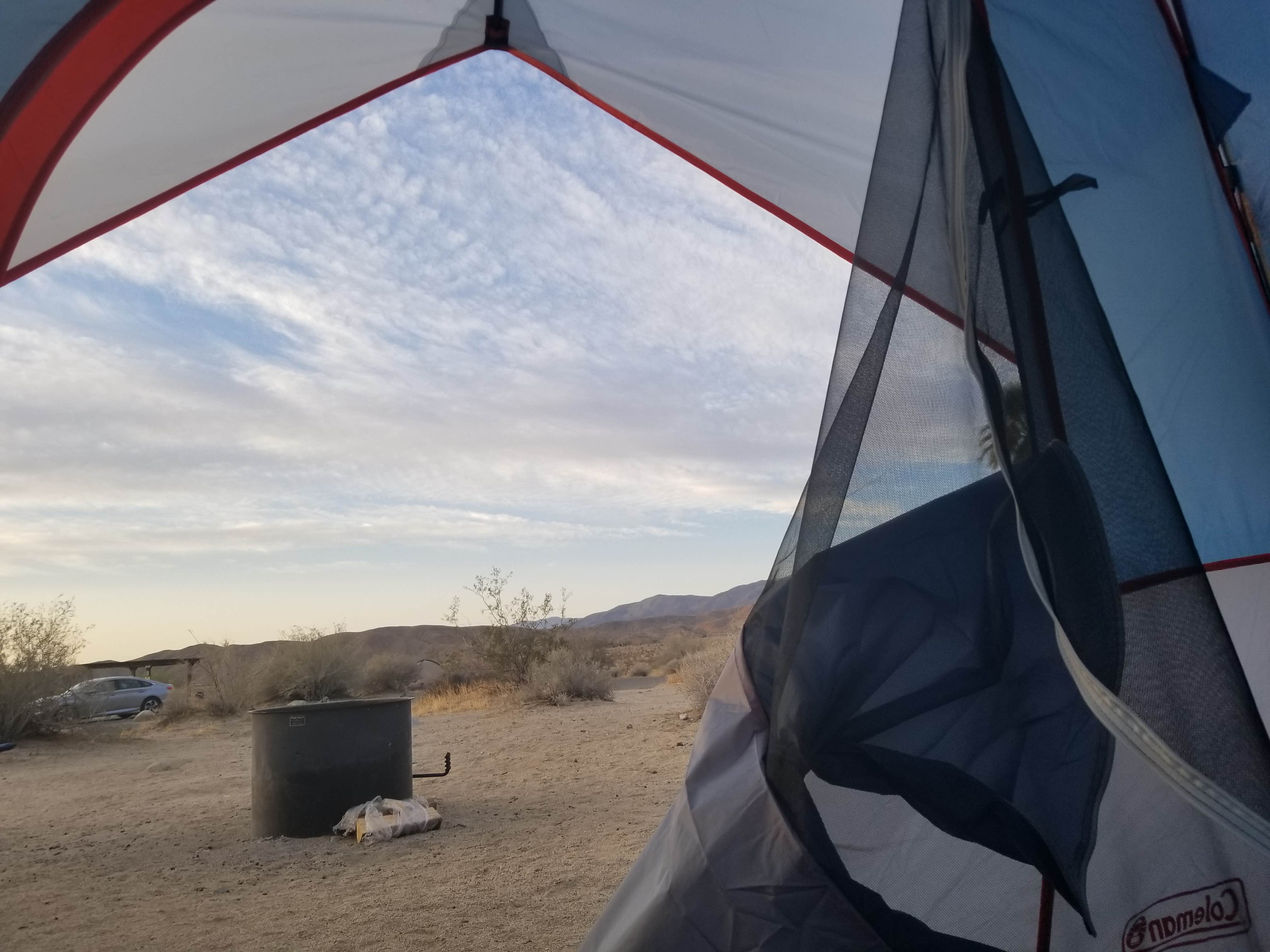 Melissa O.'s photo at Borrego Palm Canyon Campground — Anza-Borrego Desert State Park near Coolidge Springs, CA