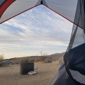 Review photo of Borrego Palm Canyon Campground — Anza-Borrego Desert State Park by Melissa O., May 21, 2018