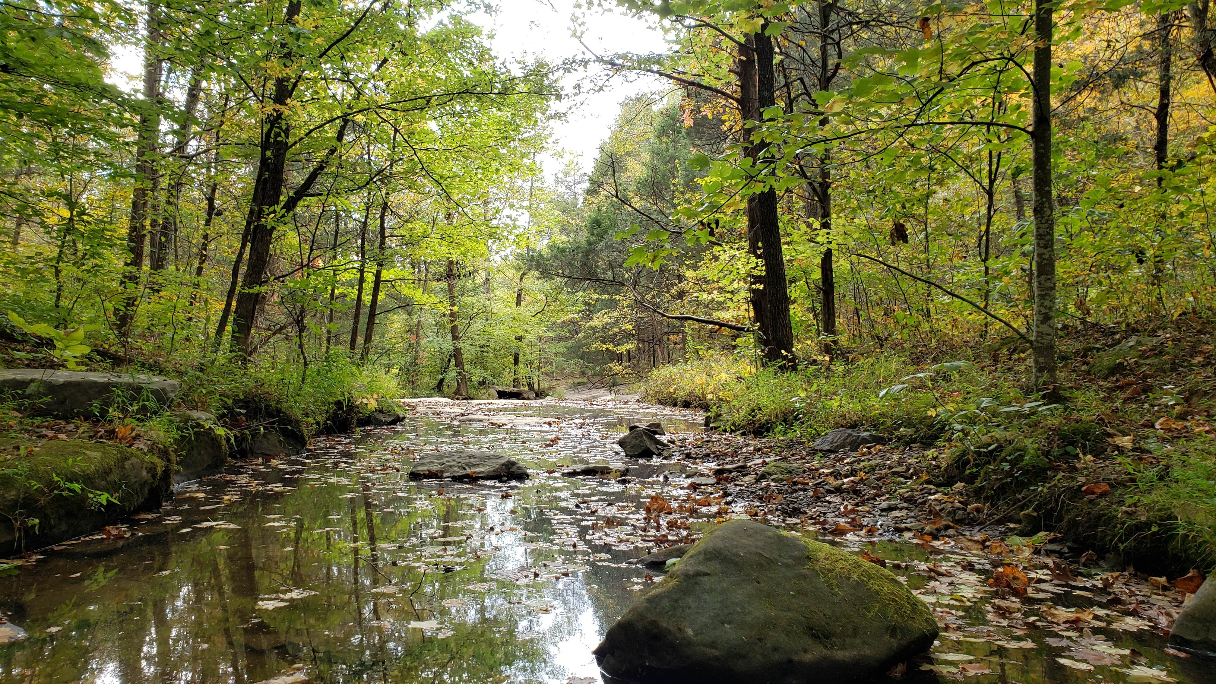 Camper-submitted photo at Jackson Falls near Stonefort, IL