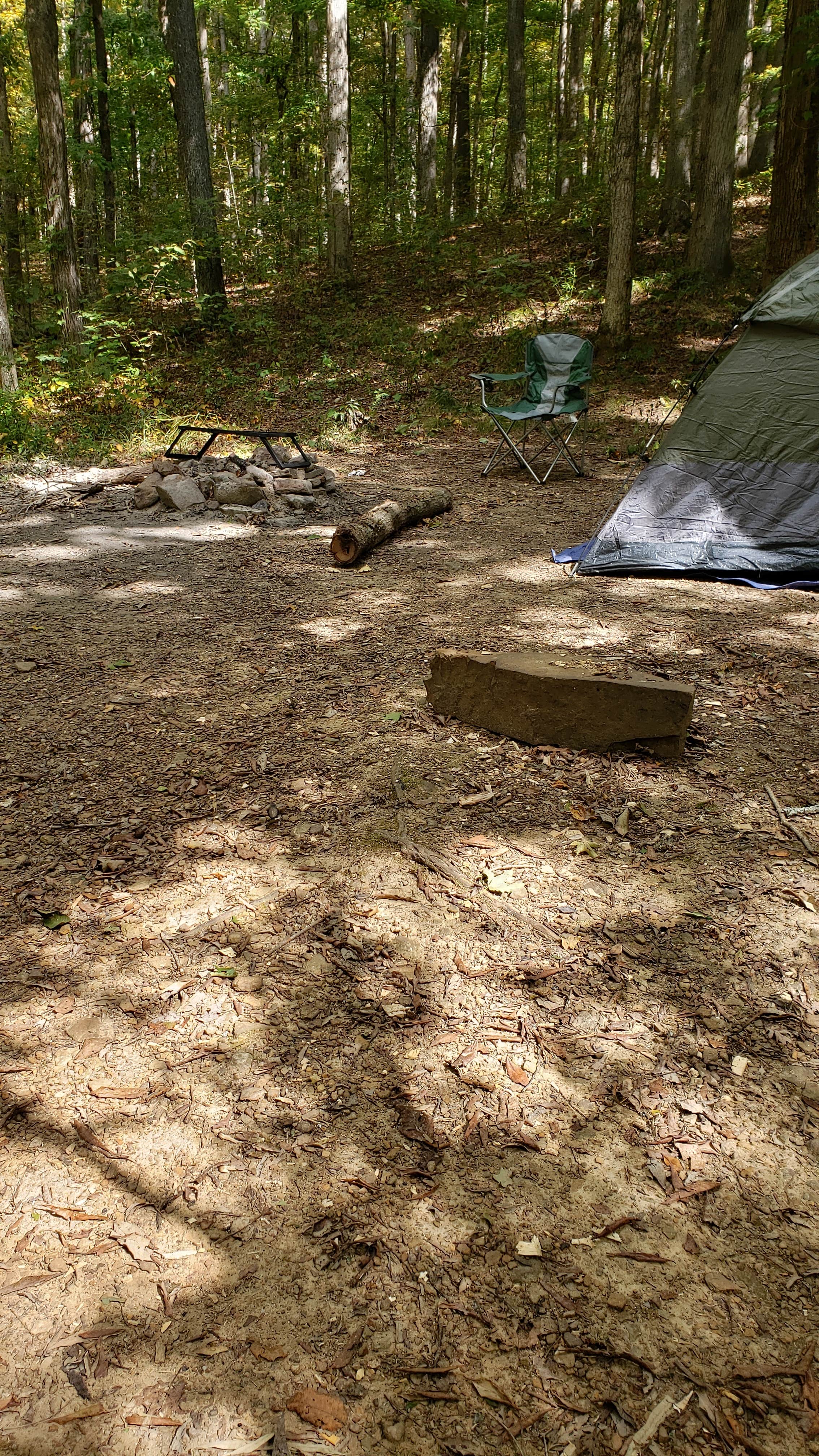 Camper submitted image from Jackson Falls - 2