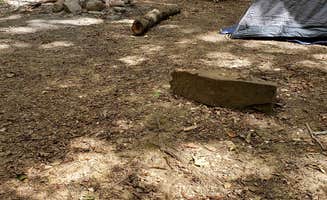 AC's photo of a dispersed camping area at Jackson Falls near Stonefort, IL