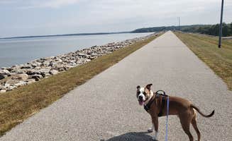 AC's photo of camping with pets at Carlyle Lake Campgrounds near Granite City, IL