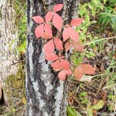 Review photo of Washington County State Recreation Area by AC , October 14, 2020