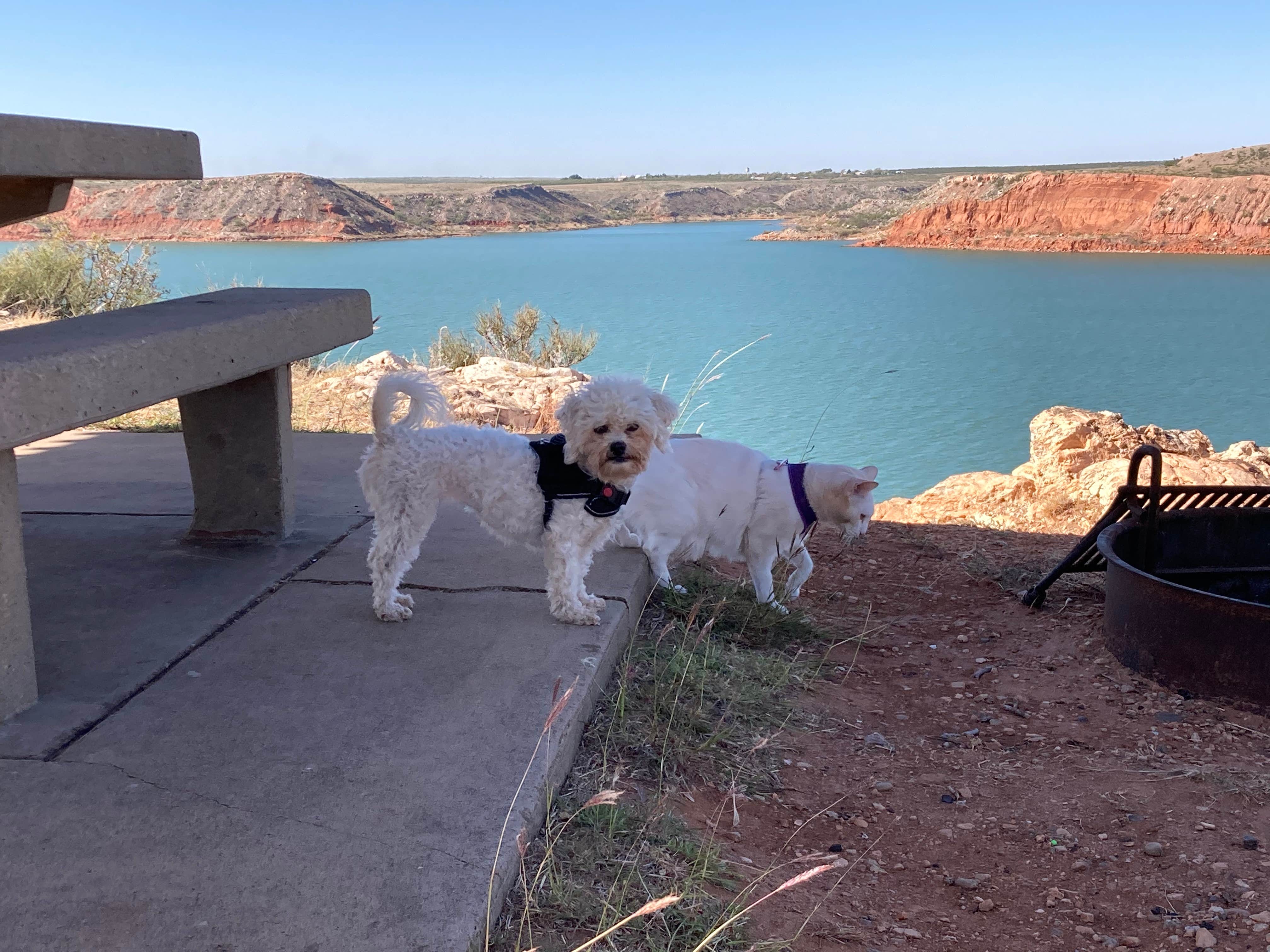 Sofia A.'s photo of camping with pets at Sanford-Yake Campground — Lake Meredith National Recreation Area near Lake Meredith National Recreation Area