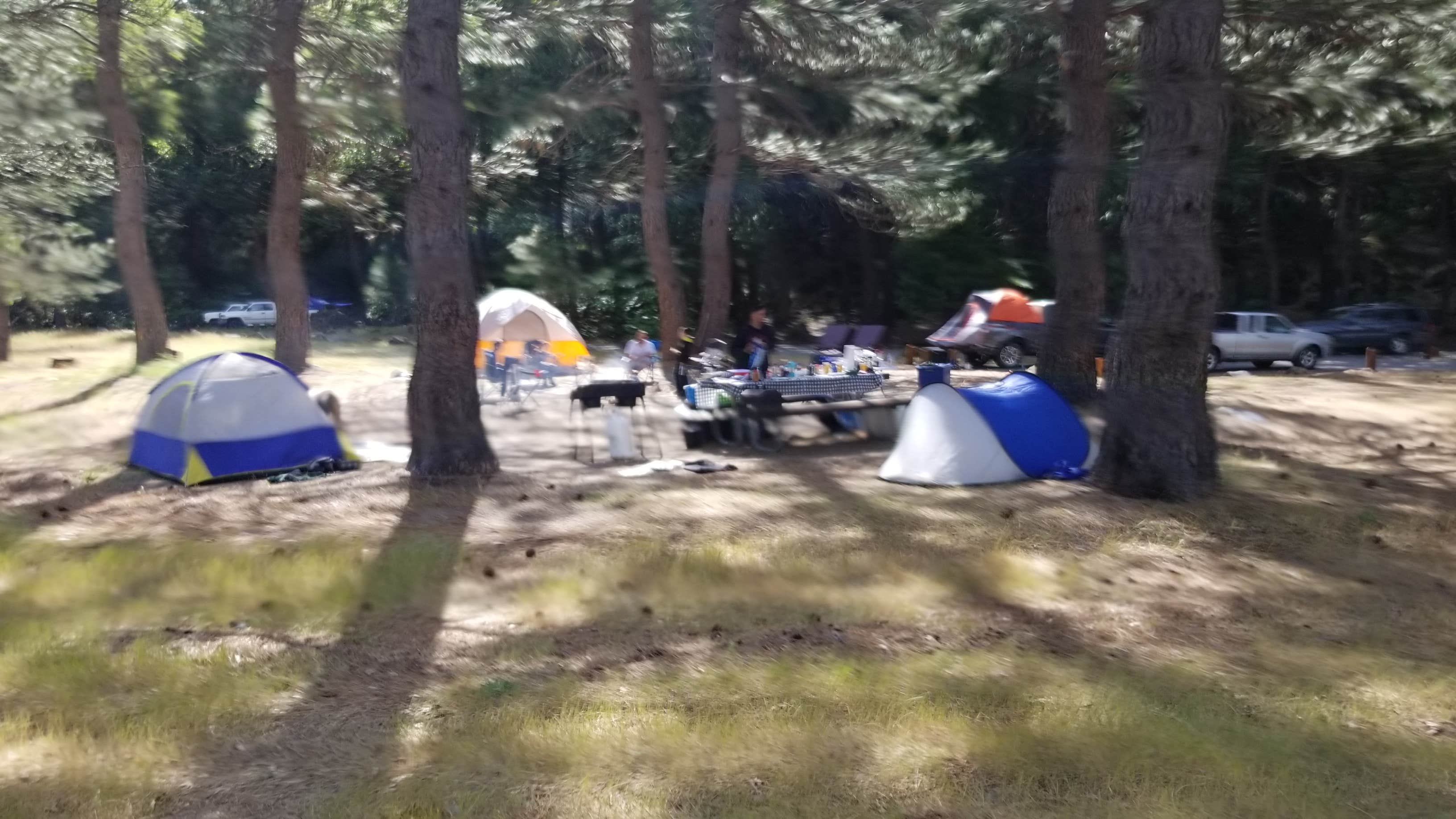 Camper-submitted photo at Sand Bar Flat Campground near Cedar Ridge, CA