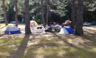 Anthony Q.'s photo at Sand Bar Flat Campground near Sonora, CA