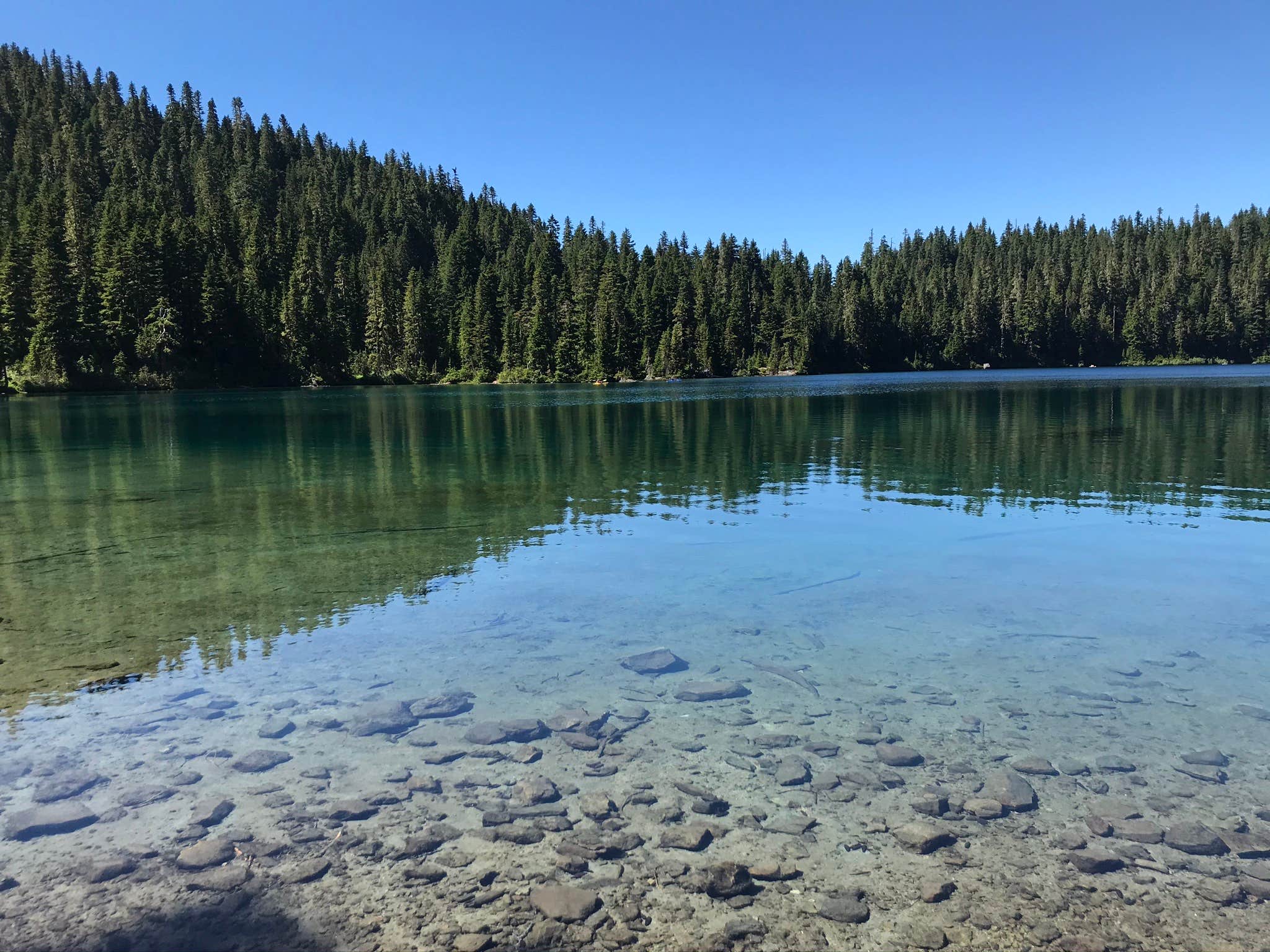 Camper-submitted photo at Mowich Lake Campground — Mount Rainier National Park near Lake Tapps, WA