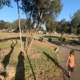 North Beach Campground - Pismo State Beach