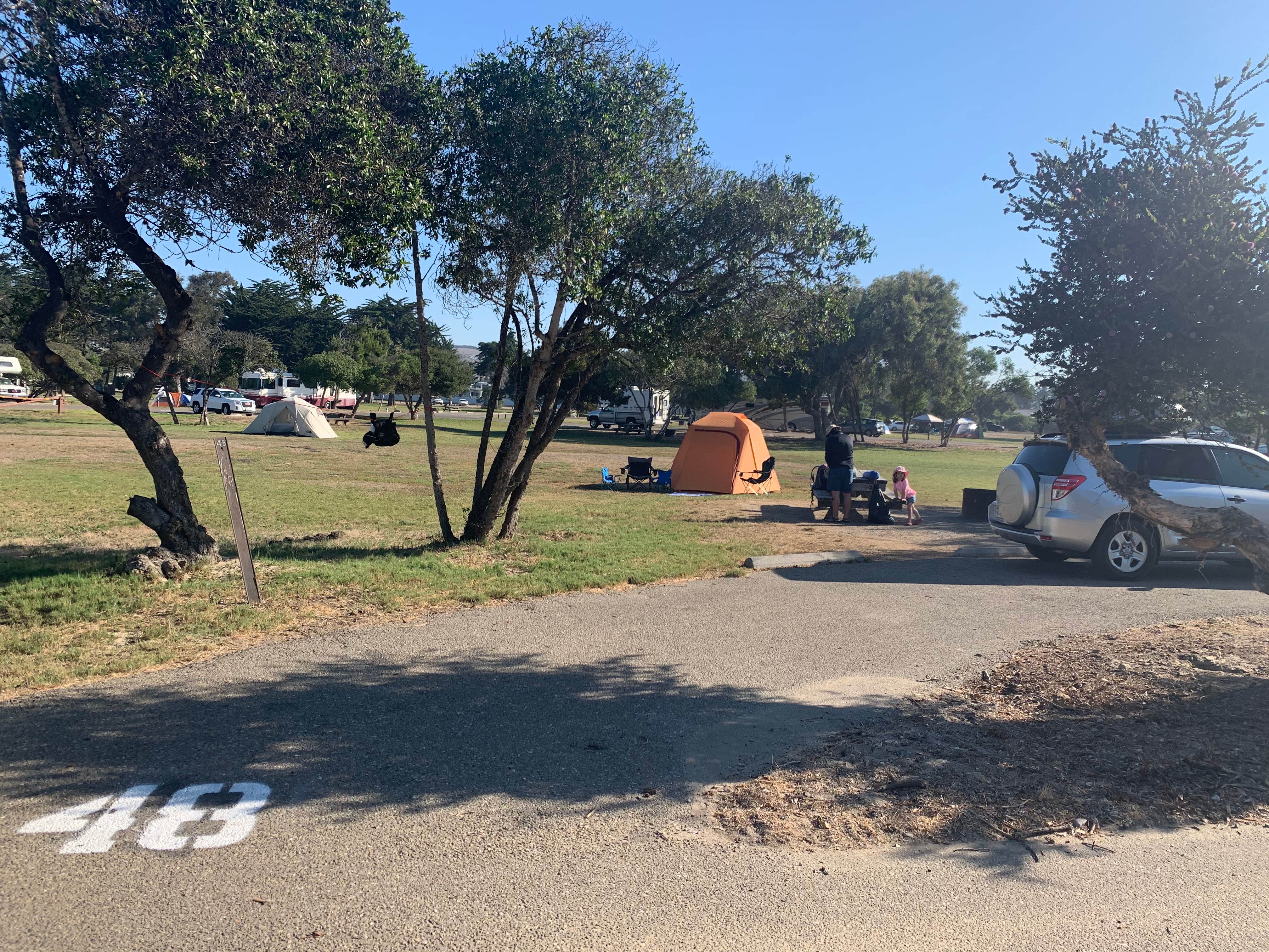 Camper submitted image from North Beach Campground — Pismo State Beach - 4