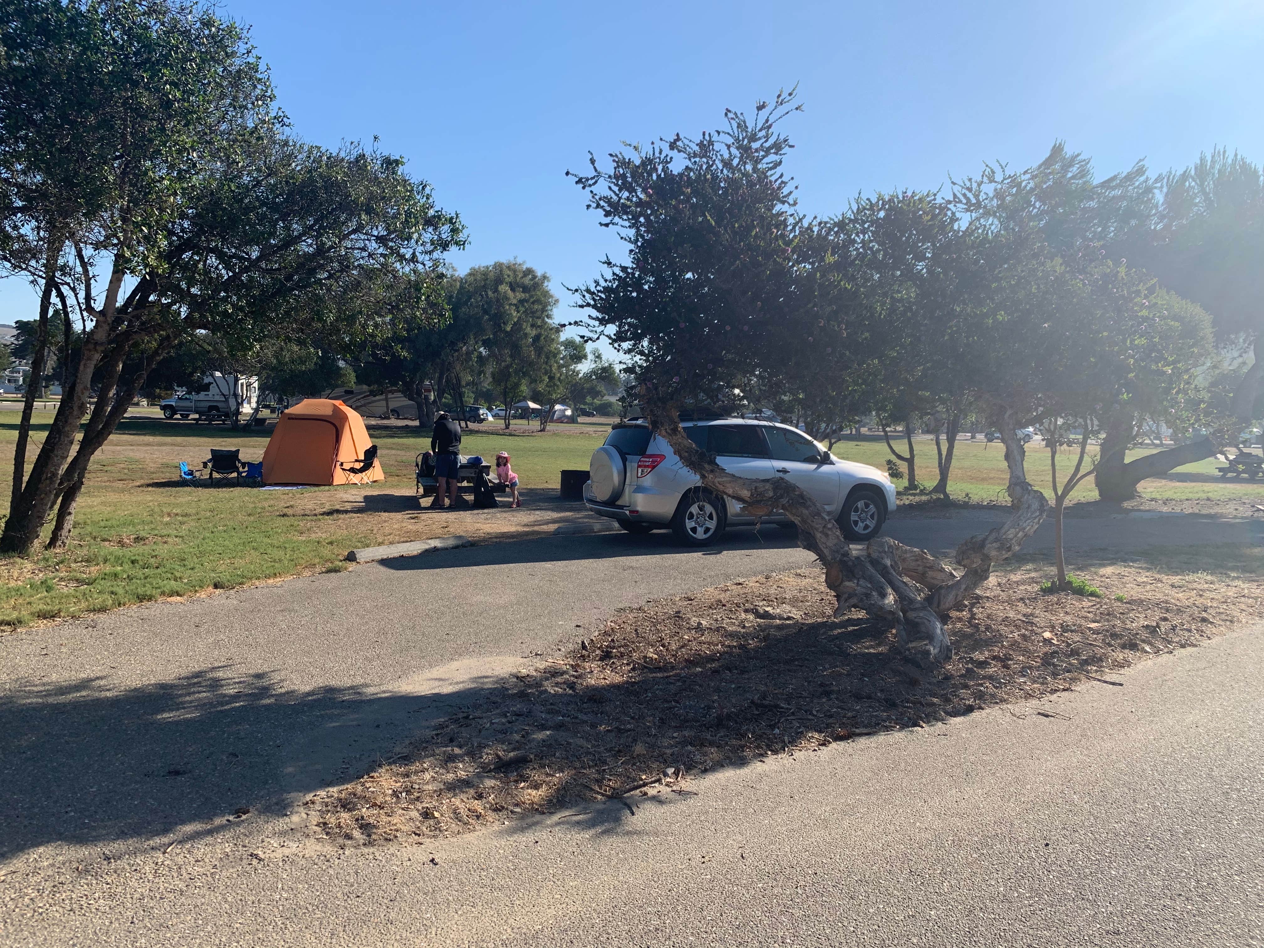 Camper submitted image from North Beach Campground — Pismo State Beach - 3