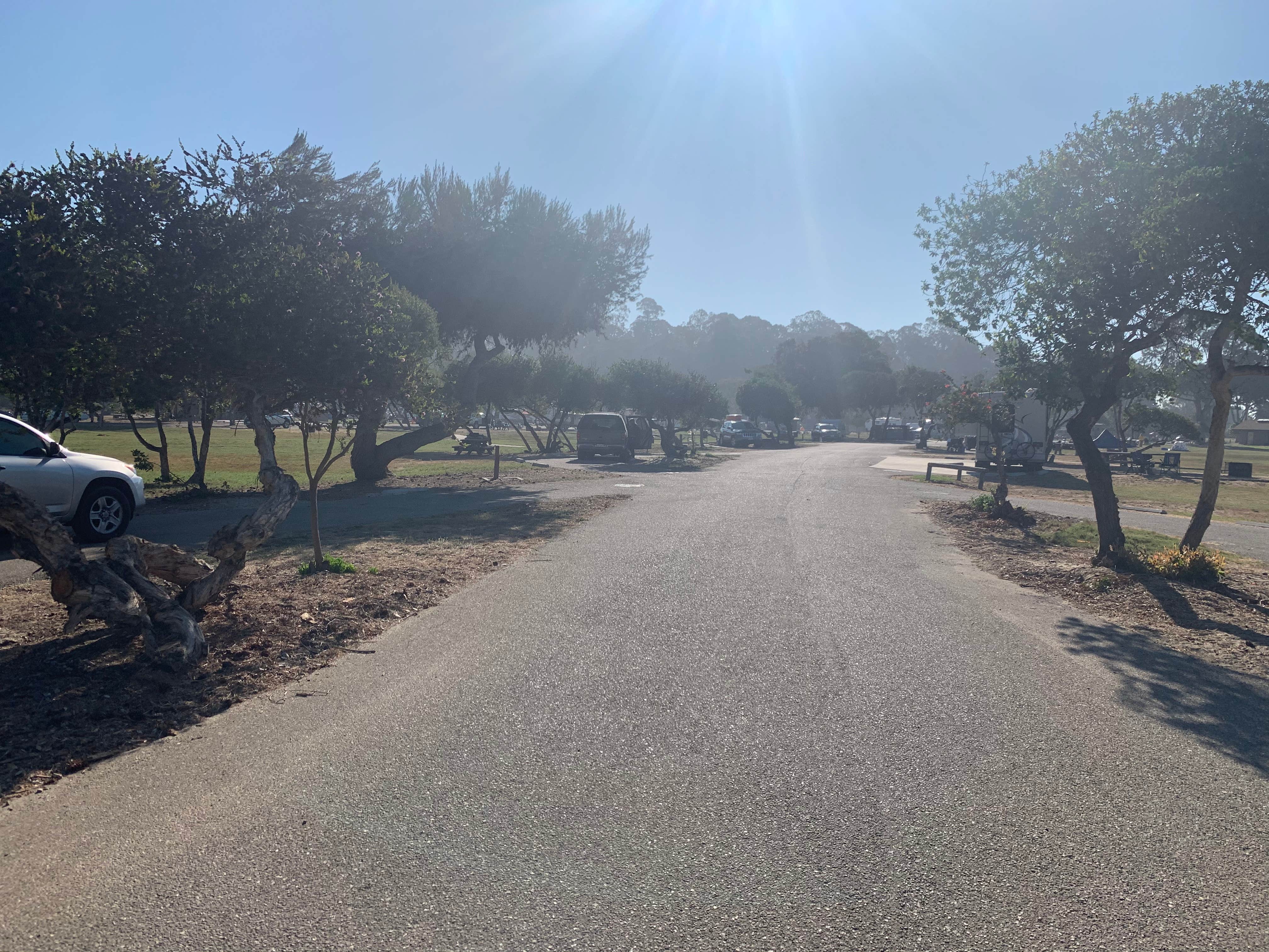 Camper-submitted photo at North Beach Campground — Pismo State Beach near Santa Maria, CA