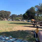 Review photo of North Beach Campground — Pismo State Beach by Alexandra T., October 14, 2020