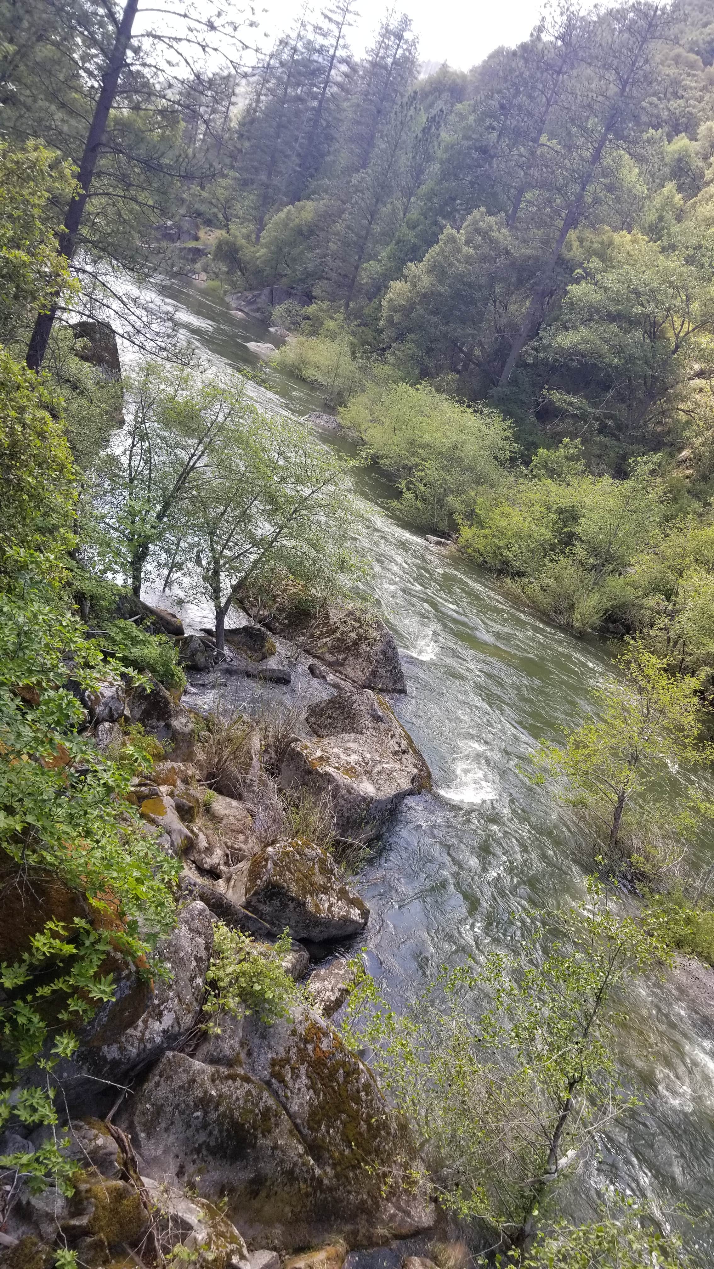 Camper-submitted photo at Sand Bar Flat Campground near Cedar Ridge, CA