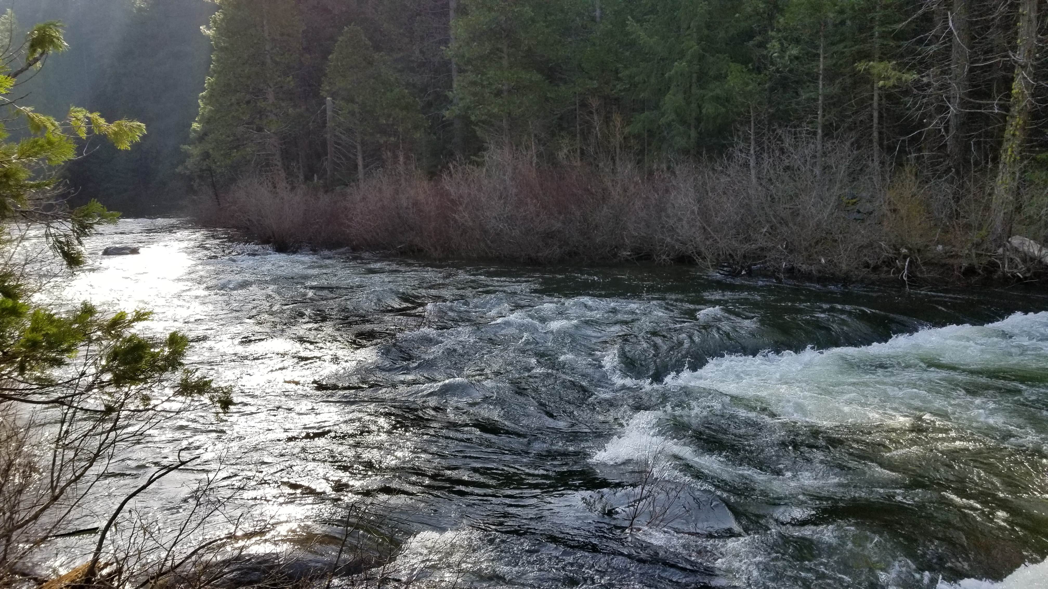 Camper submitted image from Fraser Flat Campground - 4