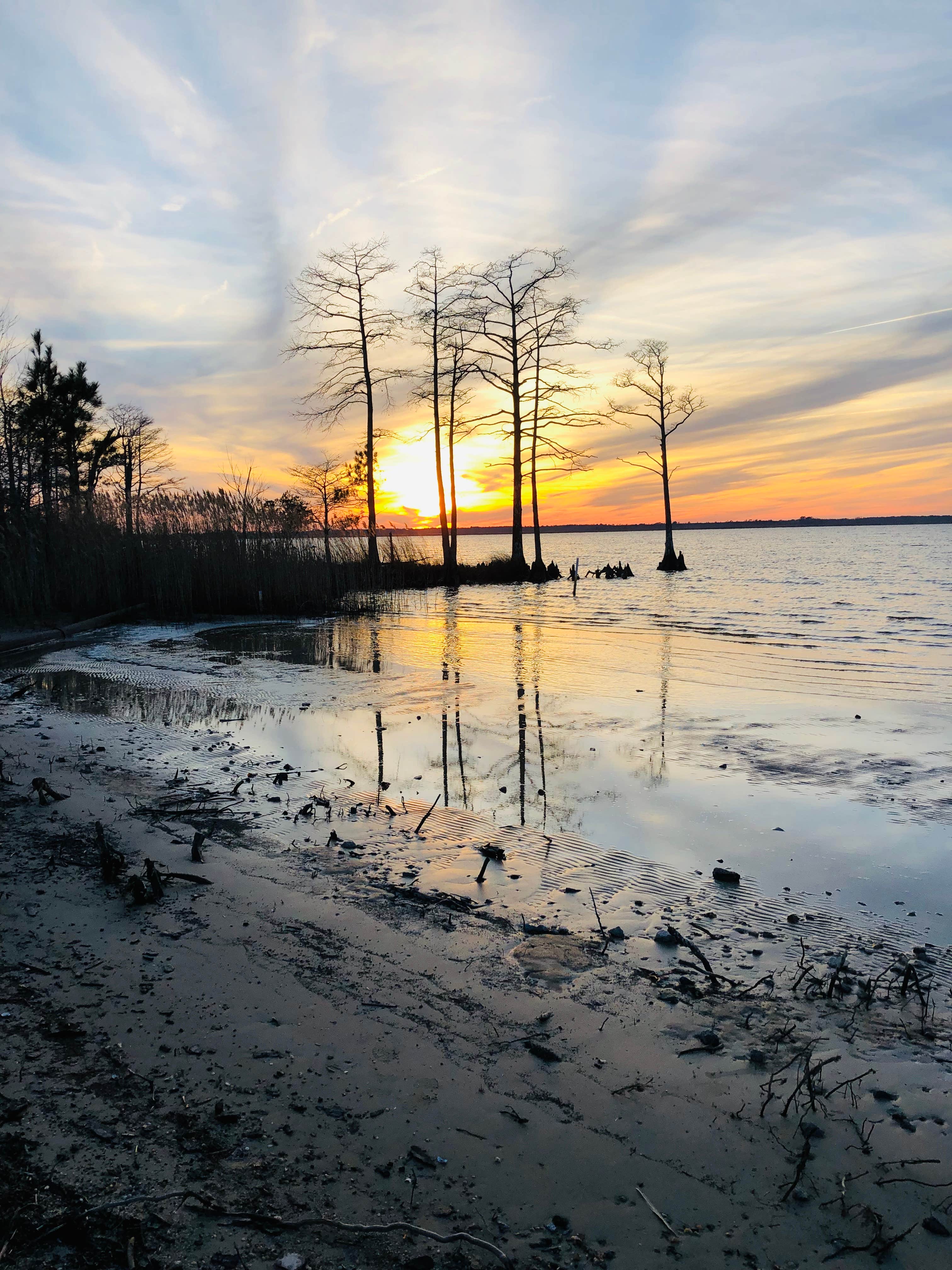 Camper submitted image from North Landing Beach Campground - 5