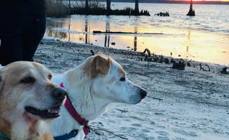Our Greight Escape ..'s photo of camping with pets at North Landing Beach Campground near Virginia Beach, VA