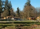 Mount Rainier National Park photo 2