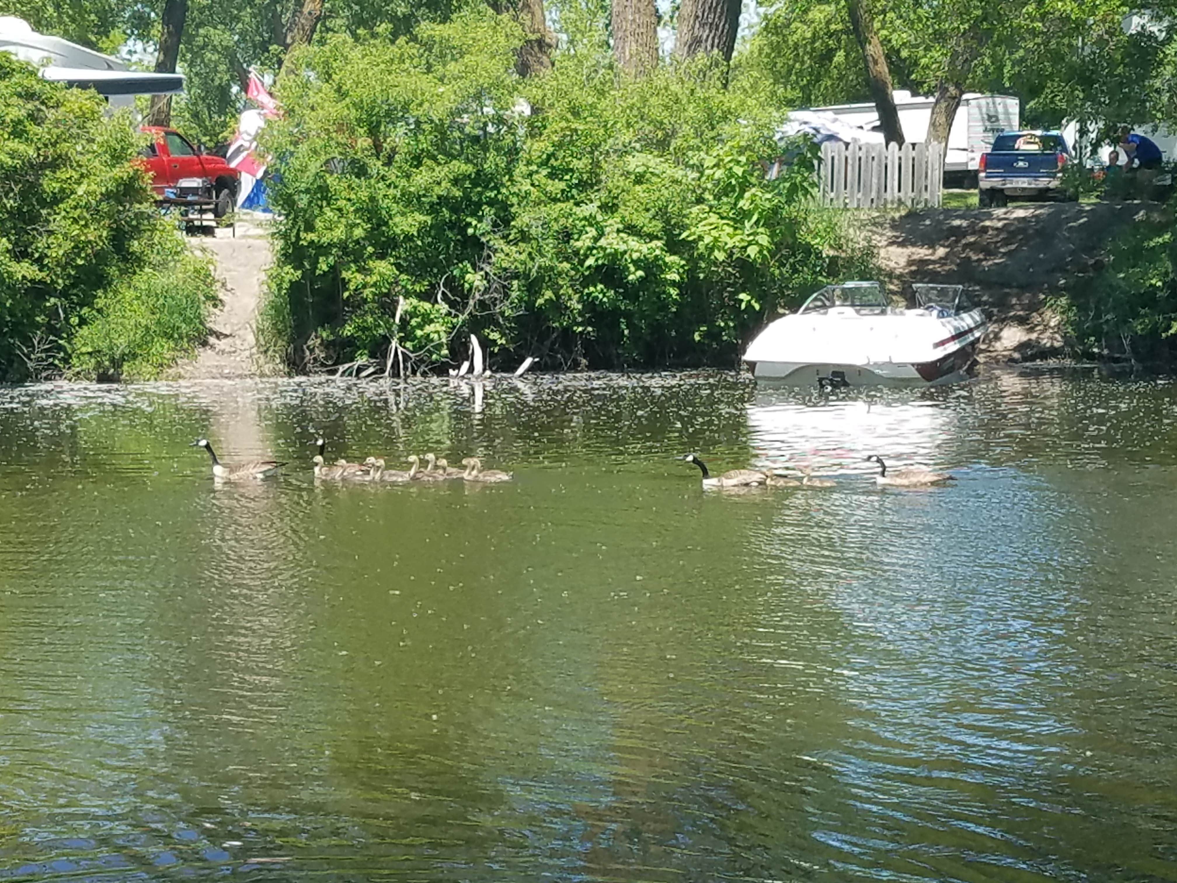 Camper submitted image from Fremont Lakes State Recreation Area - 3