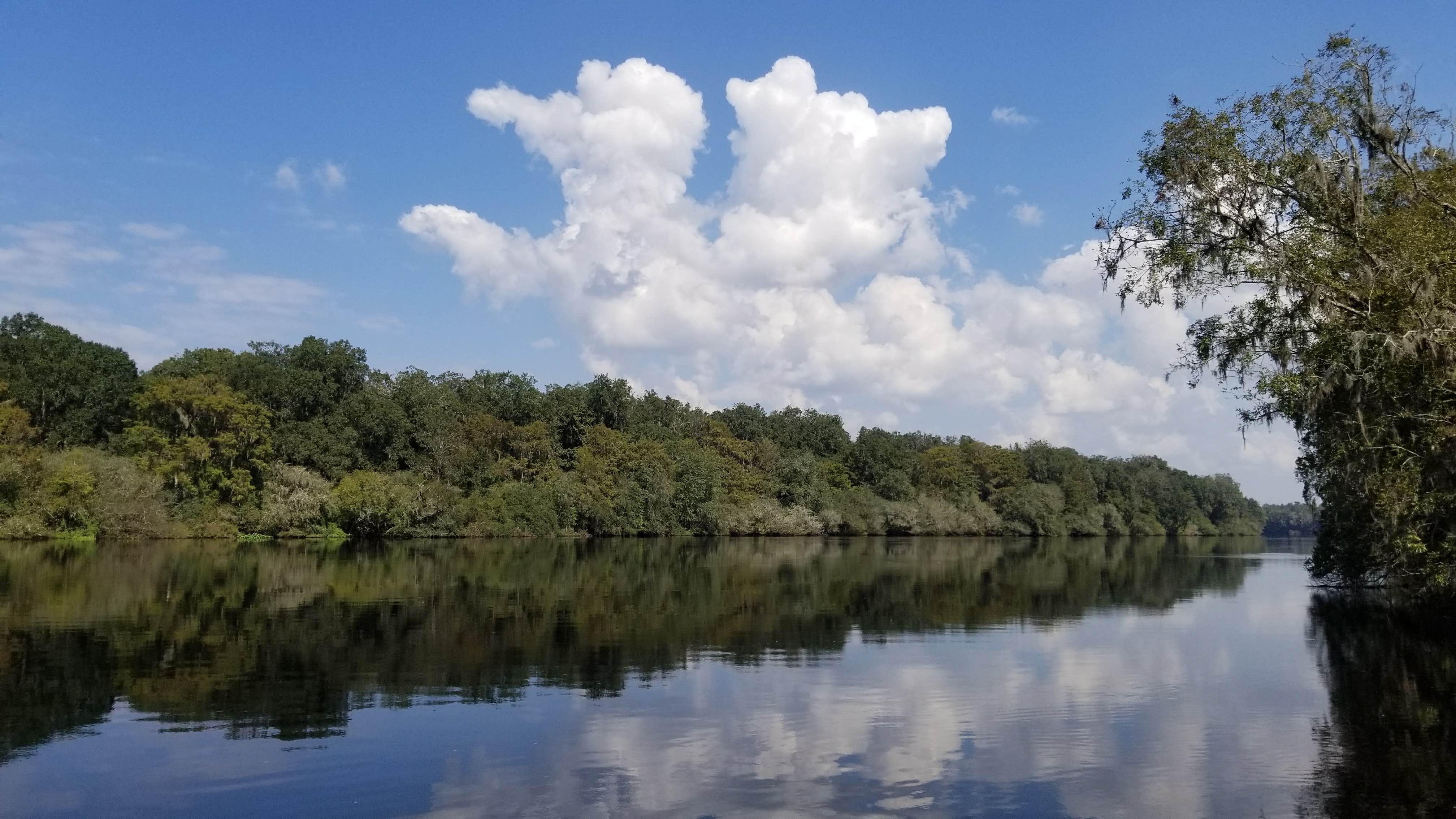 Camper-submitted photo at Otter Springs Resort Park and Campground near Chiefland, FL