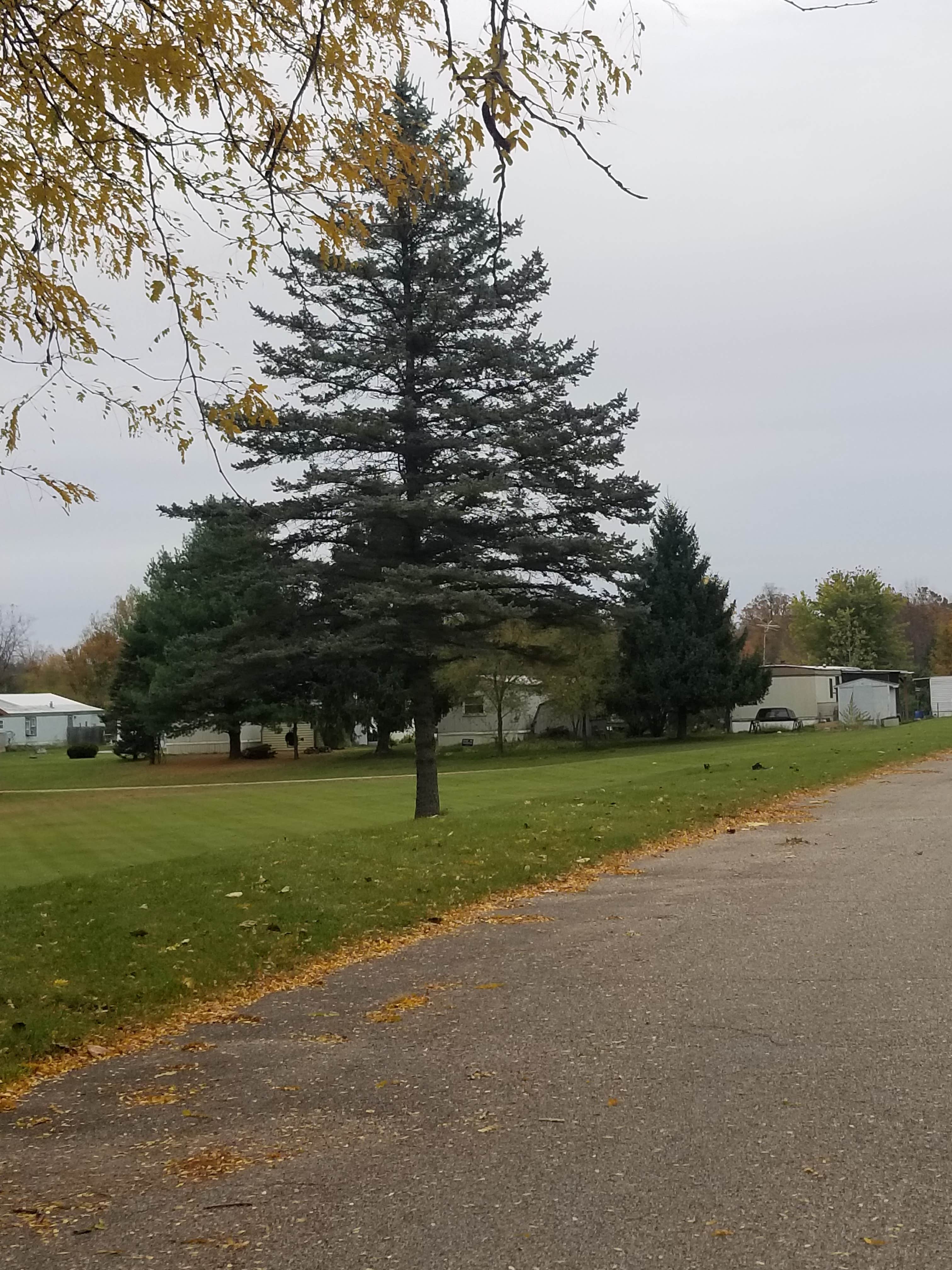 Camper-submitted photo at Barry's Resort & Mobile Home Park near Charlotte, MI