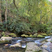 Review photo of Stone Mountain State Park Campground by Jenna K., October 14, 2020