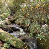 Review photo of Stone Mountain State Park Campground by Jenna K., October 14, 2020