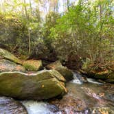 Review photo of Stone Mountain State Park Campground by Jenna K., October 14, 2020