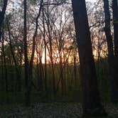 Review photo of Taylor Ridge Campground — Brown County State Park by Adriane B., May 21, 2018