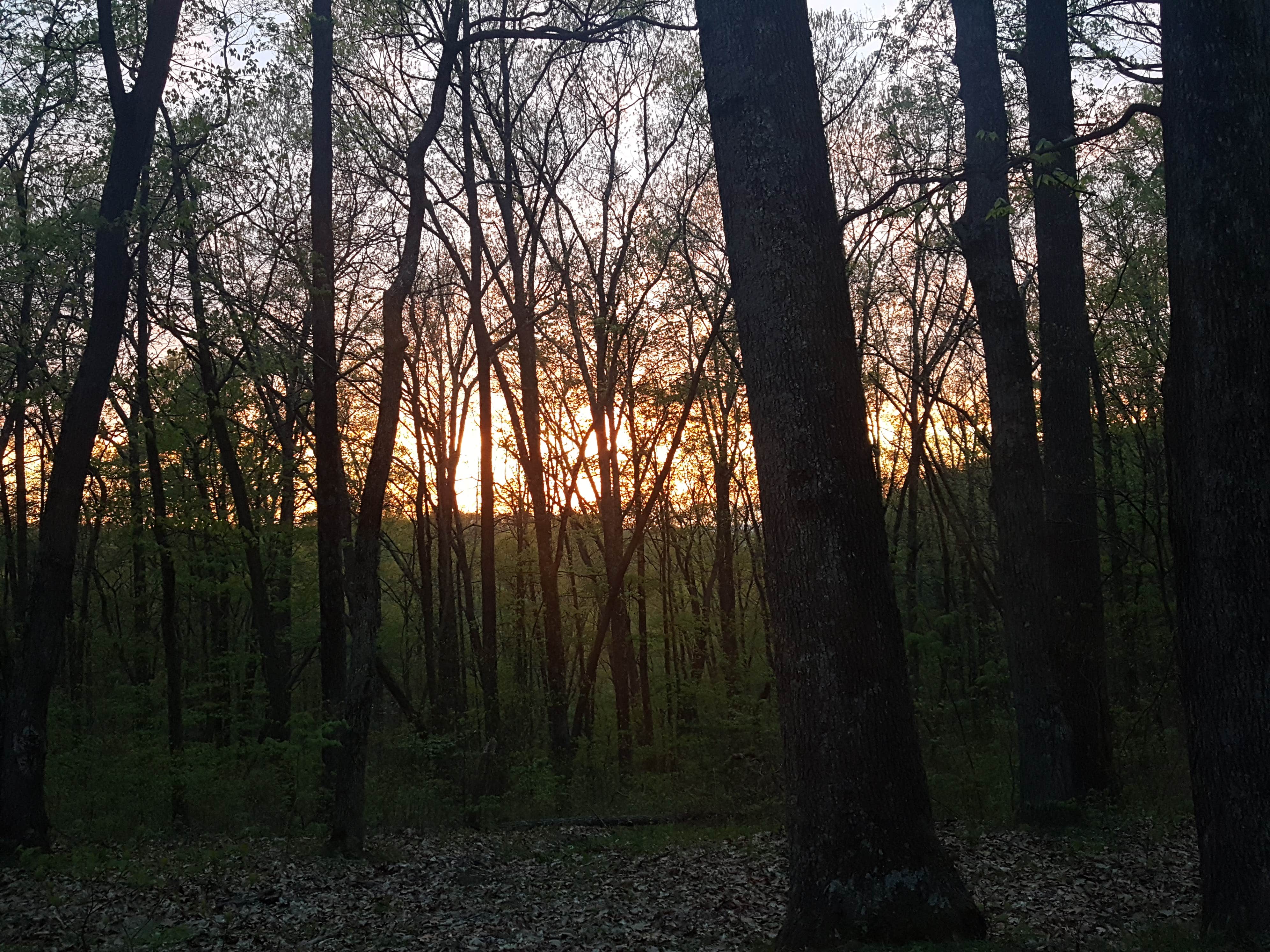 Camper submitted image from Taylor Ridge Campground — Brown County State Park - 2