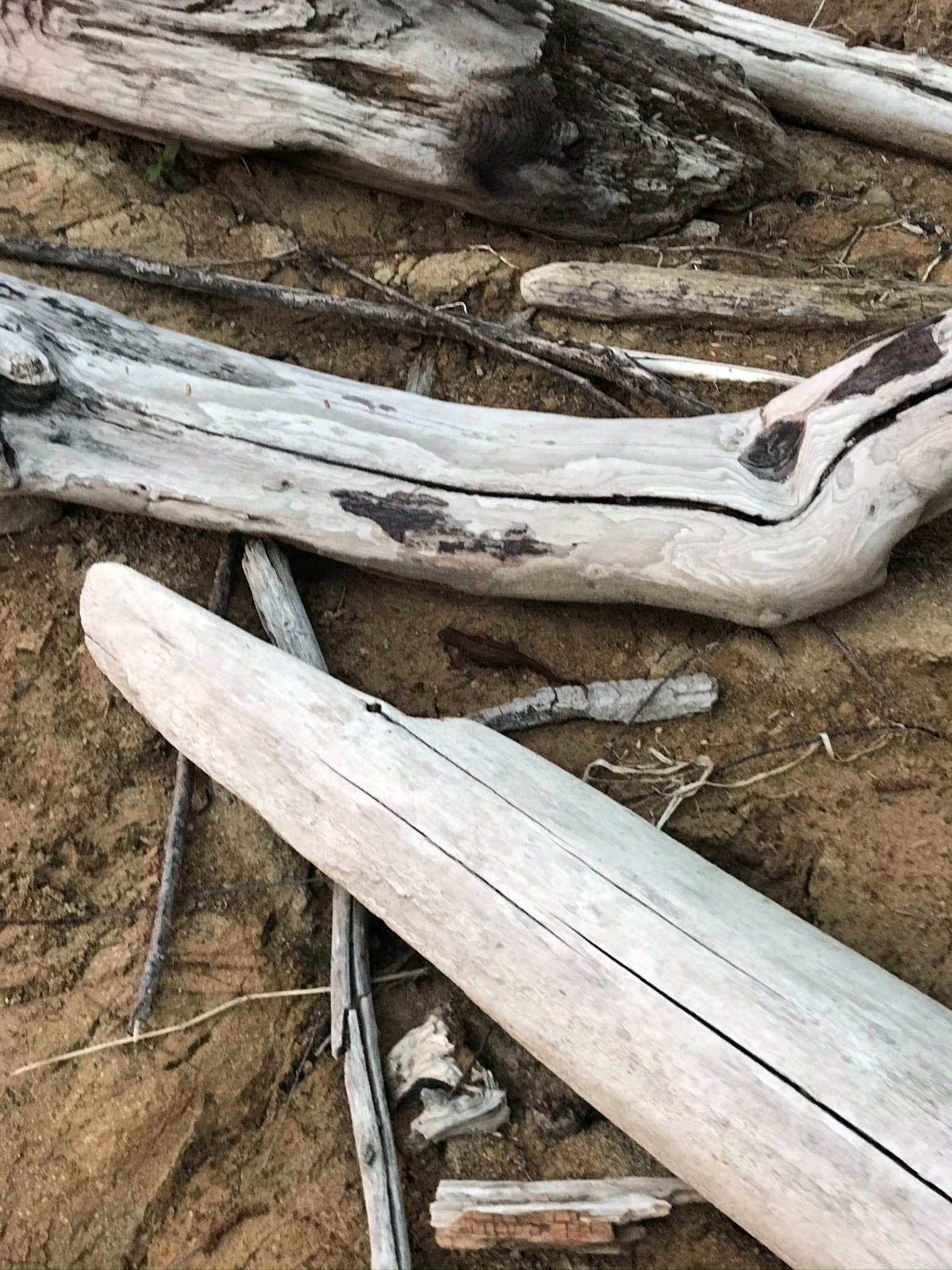 Camping near Camp Lakeview: Rocky Point Campground, Elbe, Washington