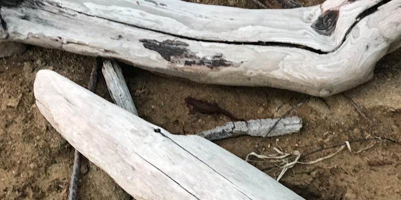 Camper submitted image from Rocky Point Campground