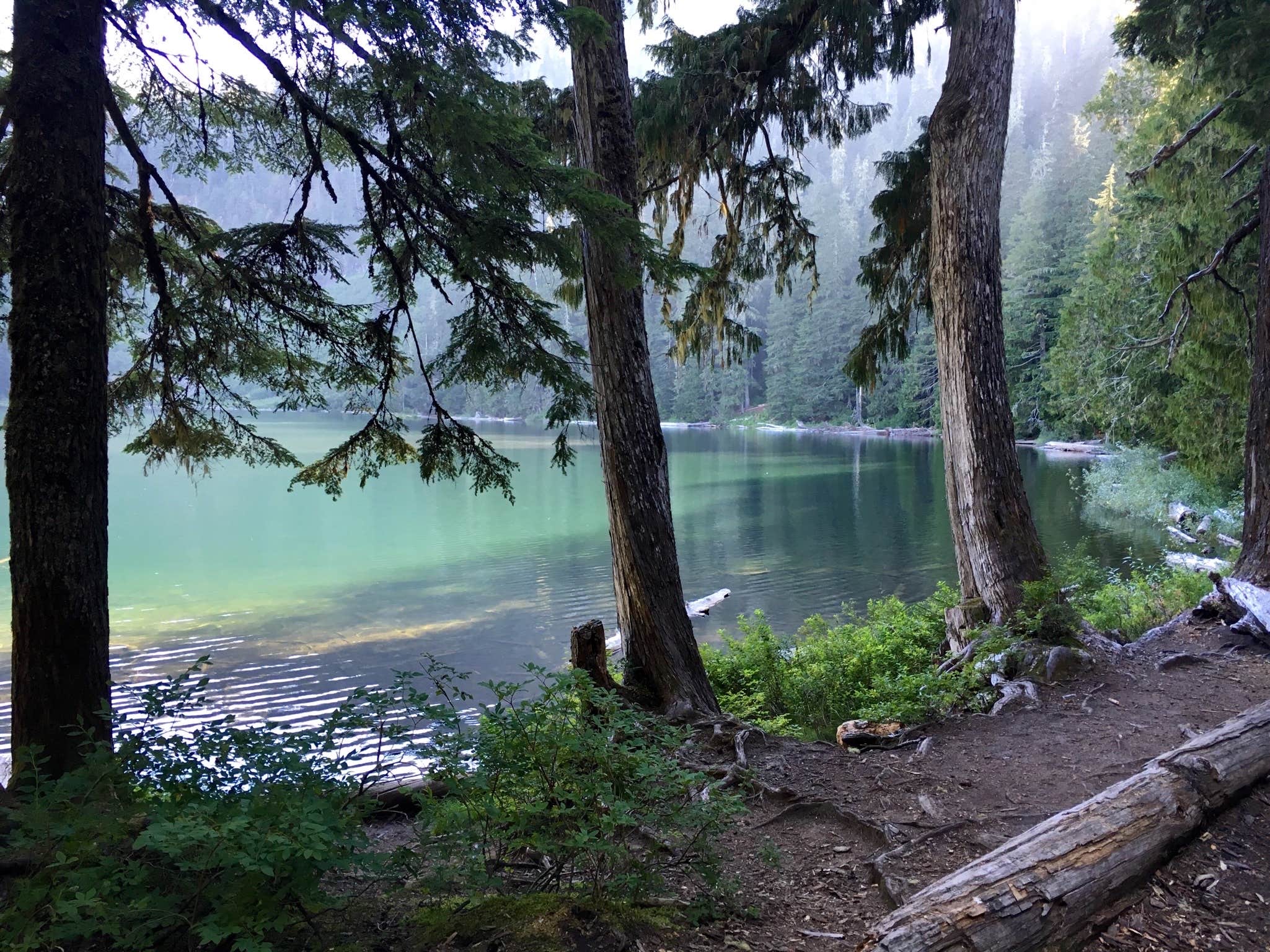 Camper submitted image from Cora Lake Back Country - 5