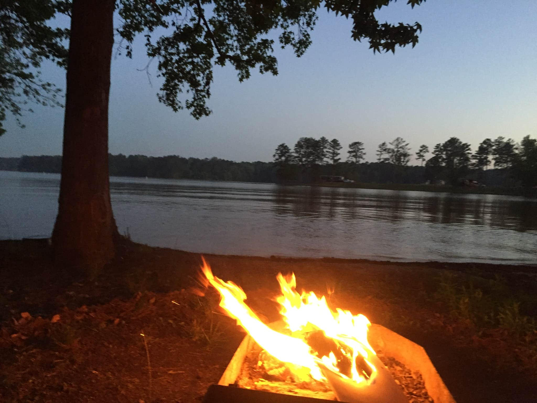Camper submitted image from Wind Creek State Park Campground - 3