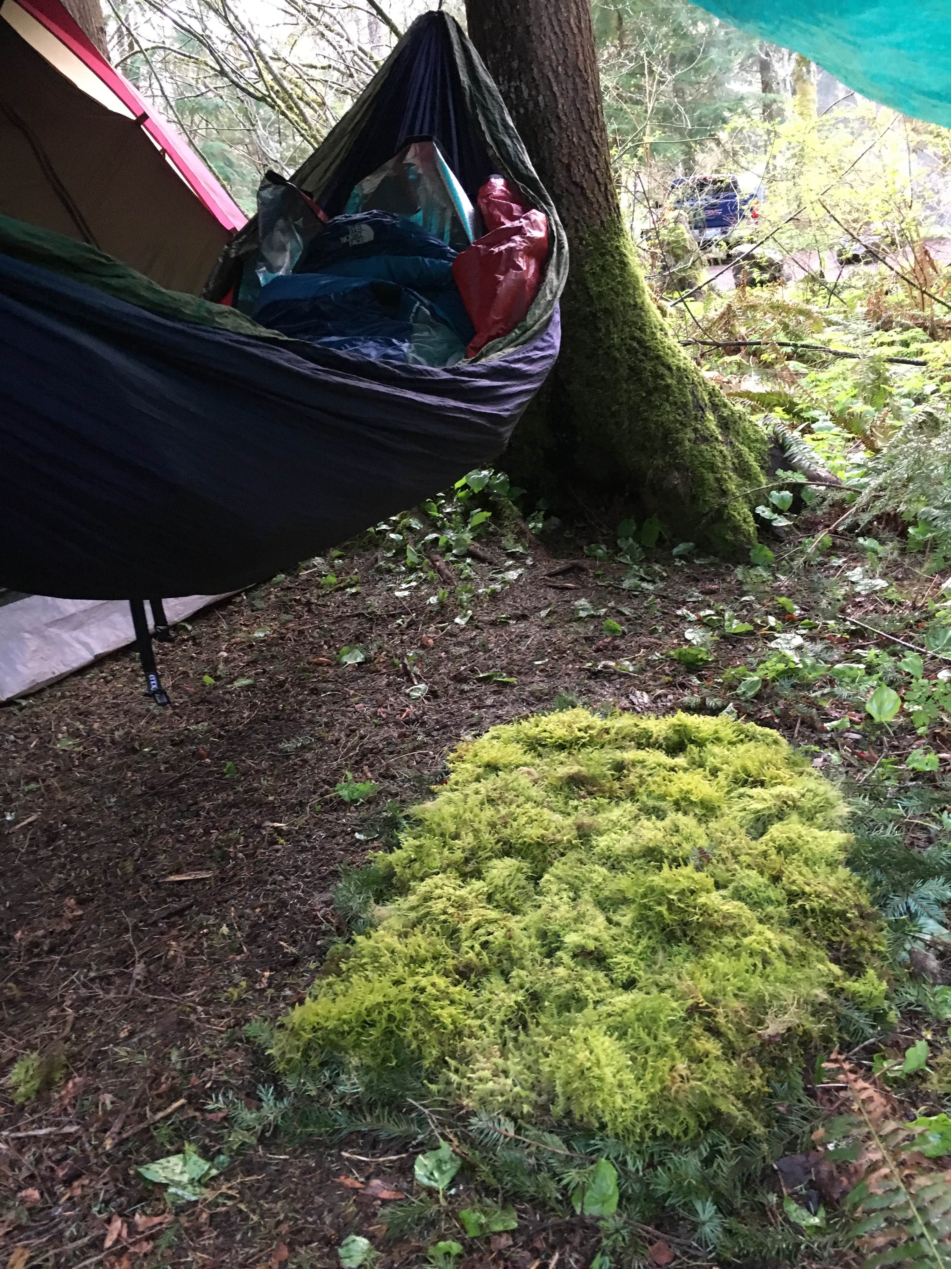 Ethan H.'s photo of a dispersed camping area at Gifford Pinchot National Forest-Canyon Creek Dispersed Camping near Rainier, OR