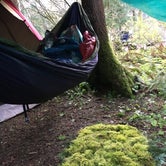 Review photo of Gifford Pinchot National Forest-Canyon Creek Dispersed Camping by Ethan H., October 14, 2020